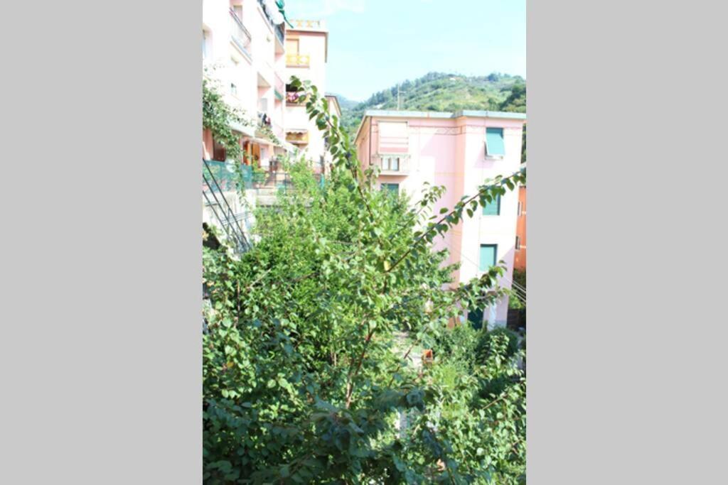 Ca Du Rocco - Citra 011019-Lt-0343 Apartman Monterosso al Mare Kültér fotó